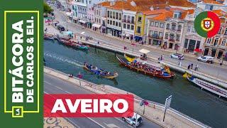 Aveiro Portugal  Una ciudad INCREÍBLE Qué ver y hacer