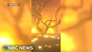 New details of the devastating Lahaina wildfire that killed over 100 people