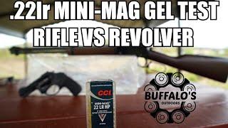 CCI MINI-MAG HP  Long Barrel vs Short Barrel in Ballistic Gel