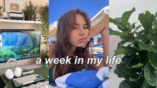 weekly vlog ᡣ • . • 𐭩   big book haul dinner with friends simple days