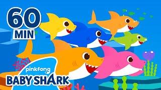Baby Shark Doo Doo Doo 1 hour  +Compilation  Songs for Kids  Baby Shark Official