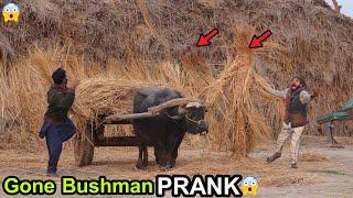 Gone Hilarious Fainted Bushman Scare Prank In Village Fails BUSH Video 2024