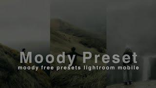 Cinematic moody presets lightroom mobile moody preset lightroom mobile  lightroom presets download