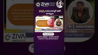 ప్రెగ్నెన్సీ 4-6 వారాలు  Pregnancy Symptoms Weeks 4-6 Telugu  Dr C Suvarchala  Ziva Fertility