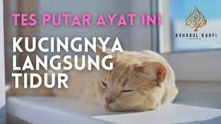 Ayat Alquran Agar Kucing Tidur