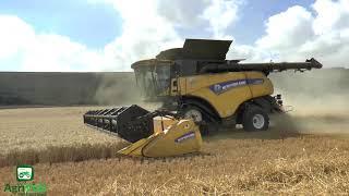 Massive New Holland Cr10.90 Combine  Harvesting Wheat. Fixed Audio