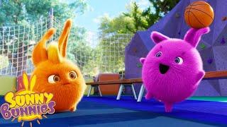 Basketball Freestyler  Sunny Bunnies  Cartoons for Kids  WildBrain Blast