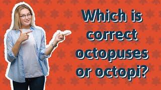 Which is correct octopuses or octopi?