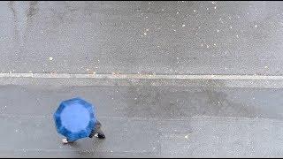 10 Hours Umbrellas on a Rainy Street - Video & Soundscape 1080HD SlowTV