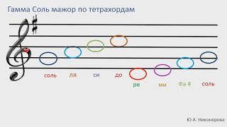 Гамма Соль мажор по тетрахордам. Сольфеджио. Учимся играть и петь.