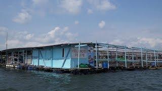 Ah Huas Floating Farm - Singapores Kelong