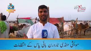 Maweshi Mandi Karachi  Northern by pass  Update  Management  2024  Bakra Eid  Cattle Market