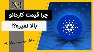 چرا قیمت کاردانو بالا نمیره؟  Cardano Price