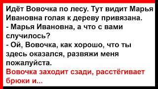 Вовочка в лесу встретил привязанную к дереву учительницу... Анекдоты Юмор Позитив