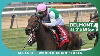 Segesta - 2024 - Wonder Again