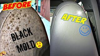 How To REMOVE BLACK MOLD for .54 Cents  Works for Car or Home on Vinyl Leather Plastic & Rubber