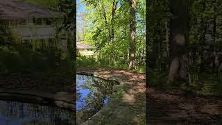 Jurassic Park Abandoned Mansion