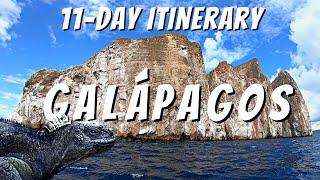 11-DAY ITINERARY GALÁPAGOS ISLANDS ECUADOR  How To Visit The Galápagos Islands On A Budget