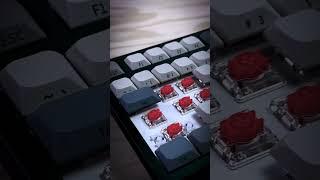 XVX L75 Pro Low-Profile Keyboard Sound Test  XVX Winter Fog Keycaps