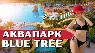 Аквапарк Blue Tree ПХУКЕТ экстрим или семейный отдых?