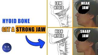 The Secret To An Attractive Jaw - Hyoid Bone blackpill