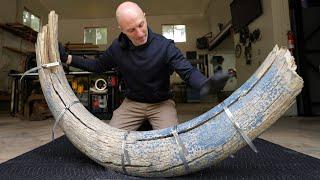 Mammoth Tusk Restoration Start to Finish