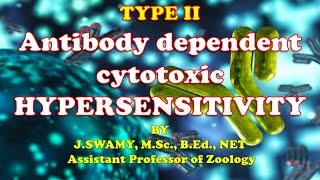 HYPERSENSITIVITY TYPE II Antibody dependent cytotoxic Hypersensitivity