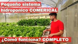 Sistema hidroponico COMERCIAL pequeño NFT ¿cómo funciona un sistema hidroponico?