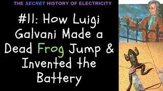 How Luigi Galvanis Frog Leg Experiment Made a Dead Frog Jump & Invented the Battery