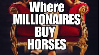 The most EXPENSIVE horse AUCTION  These horses cost as much as a house