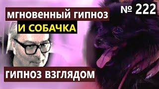 Что такое мгновенный гипноз? А уличный? Как отличить от постановки