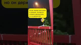 свадебный декоратор