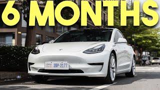 2023 Tesla Model 3 Six Months Later - Watch Before You Buy