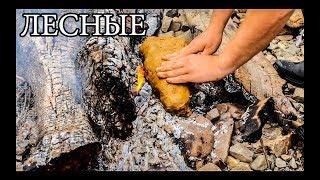 Дикая кухня - РЫБА В ГЛИНЕ  Steamed Fish In Clay