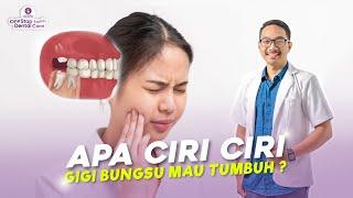 APA SAJA CIRI CIRI GIGI GERAHAM BUNGSU MAU TUMBUH ?