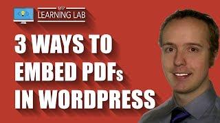 3 Ways To Embed A PDF On WordPress Posts And Pages
