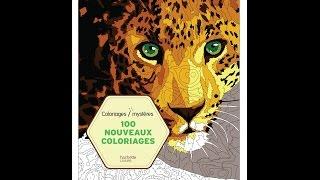 Flip Through Art Therapie 100 Nouveaux Coloriages Mysteres Color by Number  Coloring Book