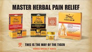 Master Herbal Pain Relief  Ultra Strength Extra Strength & Pain Relieving Patch  30