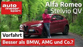 Alfa Romeo Stelvio Quadrifoglio Besser als BMW und AMG? - VorfahrtReview  auto motor und sport