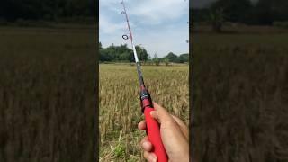 Unboxing joran pancing carbon hollow dengan serat carbon sangat tebal.. #mancing