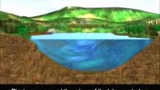 Peat Bog Formation.wmv