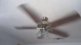 Hunter Pavillion ceiling fan in the family room with clear globes