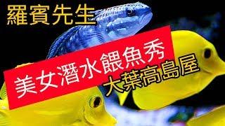 ［羅賓先生］大葉高島屋百貨公司 超大海水魚缸 餵食秀 親子玩樂 Takashimaya departmental store fish feeding show diving swim