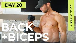 Day 28 30 Min BUILD BACK & BICEPS at Home + Abs Dumbbell Workout  6WS3