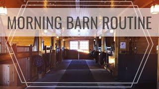 Morning BARN ROUTINE & Feeding the Horses  Another Day in the Life + Barn Chores EQUESTRIAN VLOG