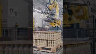 Automated packaging process for cooled foods with FANUC robots