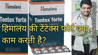 Himalaya Tentex Forte Tablet in Hindi - हिमालया टेनटेक्स फोर्टे टैबलेट की जानकारी लाभ