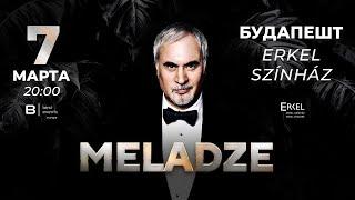 Валерий Меладзе в Будапеште 7 марта 2024  Valeriy Meladze live @ Budapest 2024-03-07