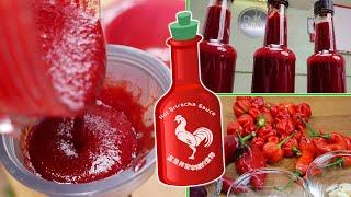 Sriracha Sauce Recipe - ChilliChump Style