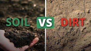 What Makes Soil Healthy?  Soil Food Web School